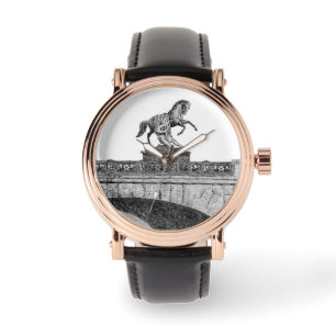 paardenbeeldhouwkunst op de brug Anichkov Horloge