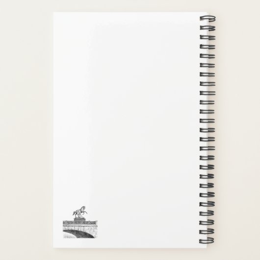 paardenbeeldhouwkunst op de brug Anichkov Planner (Achterkant)