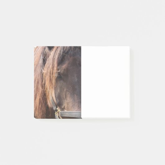 Paardenbericht Post-it® Notes (Voorkant)