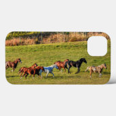 Paardenbeslag en paardenpestfoto bij paarden Case-Mate iPhone case (Achterkant (horizontaal))