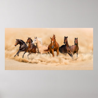 Paardenbeslag in woestijn en storm poster