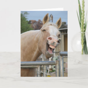 Paardenbetaalkaart Kaart