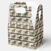 Paardenbeweging fotografie bedankdoosjes (Geopend)