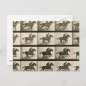 Paardenbeweging fotografie briefkaart (Voorkant / Achterkant)