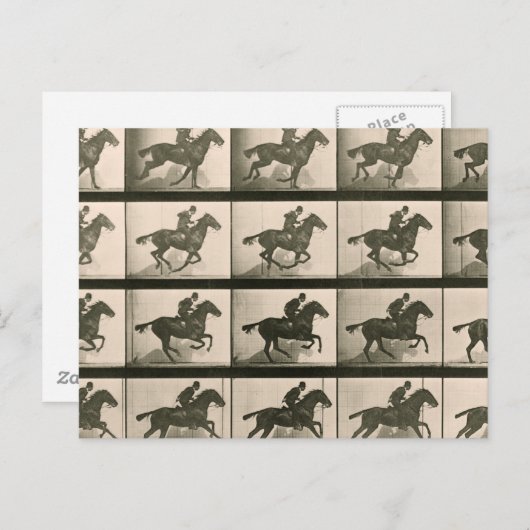 Paardenbeweging fotografie briefkaart (Voorkant / Achterkant)