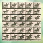 Paardenbeweging  fotografie raamsticker (Vel 3)