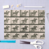 Paardenbeweging  fotografie tissuepapier (Craft)