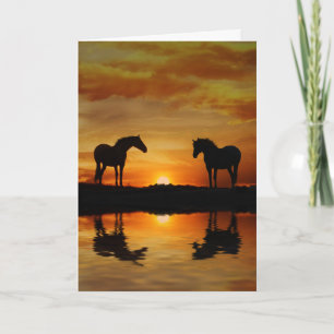 Paardenblanco noot kaart