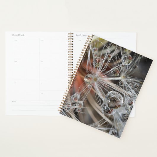 Paardenbloem Abstract Planner (Display)