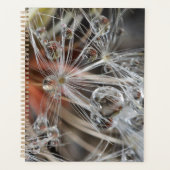 Paardenbloem Abstract Planner (Voorkant)