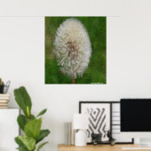 Paardenbloem Ballerina door Celeste Sheffey Poster (Thuiskantoor)