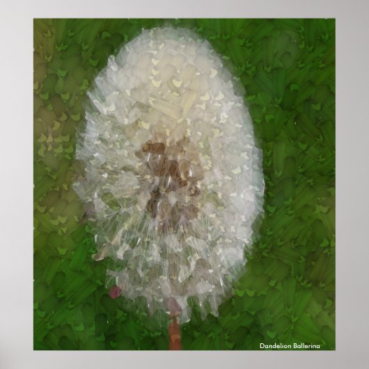 Paardenbloem Ballerina door Celeste Sheffey Poster (Voorkant)