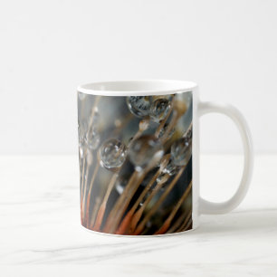 Paardenbloem en waterdruppels, CA Koffiemok