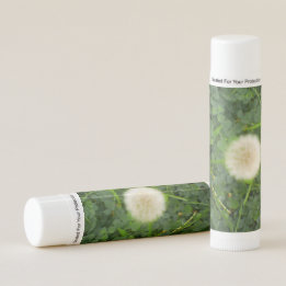 Paardenbloem genesteld in groene klaver lippenbals