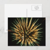 Paardenbloem in brand briefkaart (Voorkant / Achterkant)