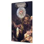 Paardenbloem Klembord (Links)