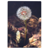 Paardenbloem Klembord (Achterkant)