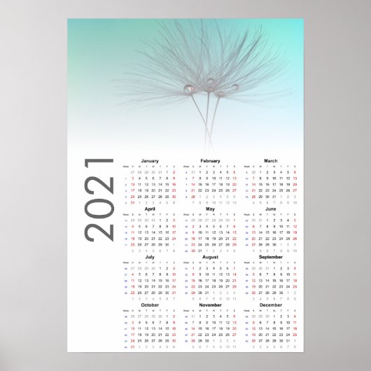 Paardenbloem klokken Kalender 2021 Poster (Voorkant)