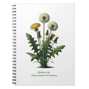 Paardenbloem Kruidendagboek Notitieboek