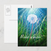 Paardenbloem Macro Briefkaart (Voorkant / Achterkant)