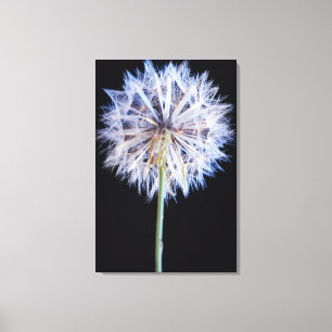 Paardenbloem (Taraxacum Officinale) Zaadhoofdje Canvas Afdruk