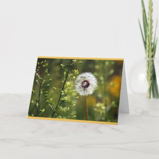 Paardenbloem Verjaardagswensen Kaart (Voorkant)