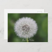 Paardenbloem wenst Briefkaart (Voorkant / Achterkant)