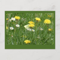 Paardenbloemen & Daisies Grass Field DIY Briefkaar