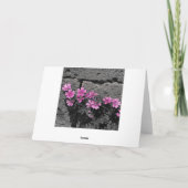 Paardenbloemen Kaart (Achterkant)