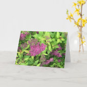 Paardenbloemen Kaart (Gele Bloem)