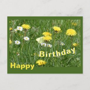Paardenbloemen & Madeliefjes Grasveld Verjaardagsa Briefkaart