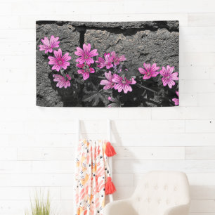 Paardenbloemen Spandoek