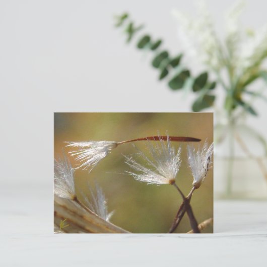 Paardenbloemzaden nemen een vriend mee, Betuiging Briefkaart (Staand voorkant)