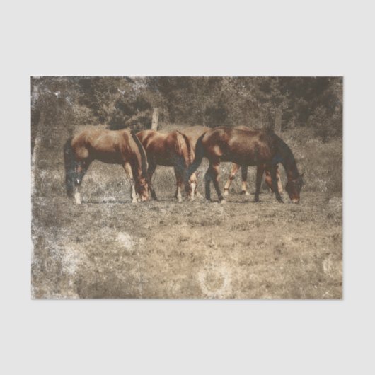 PaardenBoerderij  Land Rustisch Western Tissuepapier (Voorkant)
