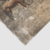 PaardenBoerderij  Land Rustisch Western Tissuepapier (Detail)