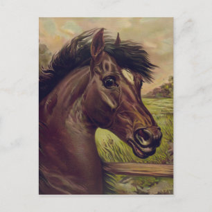 paardenboerderij ranch rit sporten western paard h briefkaart