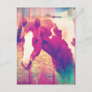 Paardenboomgaard Briefkaart