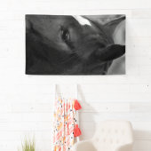 Paardenbracna Spandoek (Insitu)