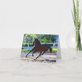 Paardenbriefje/wenskaart 5 kaart