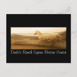 Paardenbriefkaart lopen briefkaart