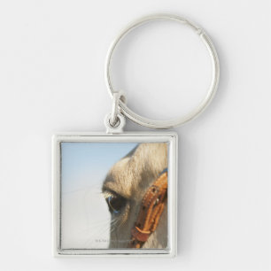 Paardenbril Sleutelhanger