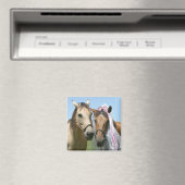 Paardenbruid en paardenbruin magneet (Insitu (Vaatwasser))