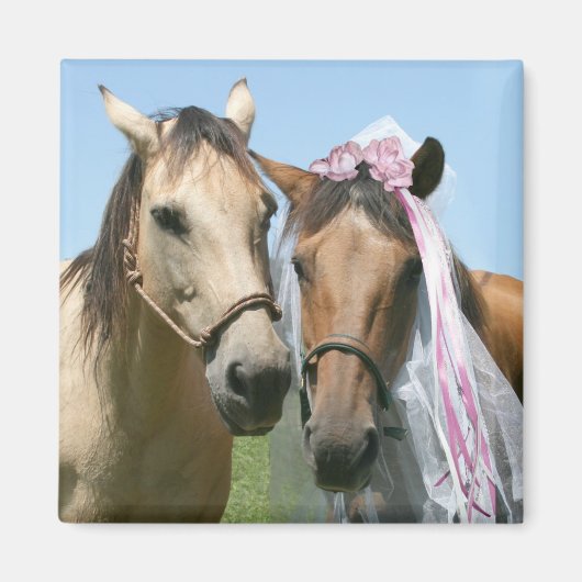 Paardenbruid en paardenbruin magneet (Voorkant)