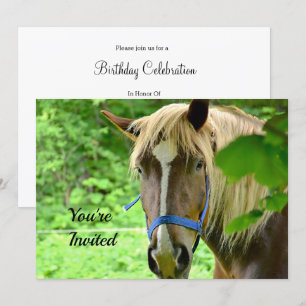 Paardenbruin Belgisch Ontwerp Foto van Birthday Kaart