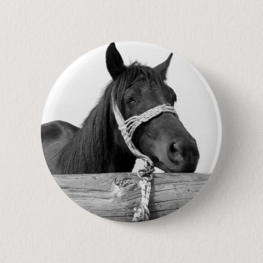 PaardenButton Ronde Button 5,7 Cm (Voorkant)