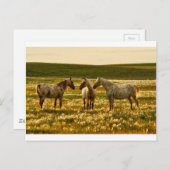 paardenconferentie briefkaart (Voorkant / Achterkant)