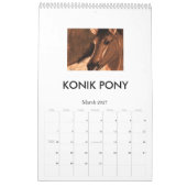 paardendromen, EQUINES Kalender (Mar 2027)