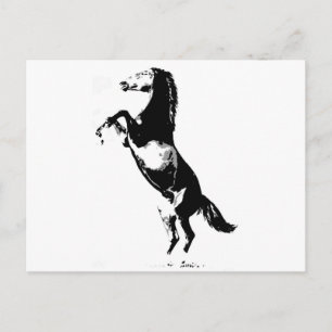 Paardenfok Briefkaart