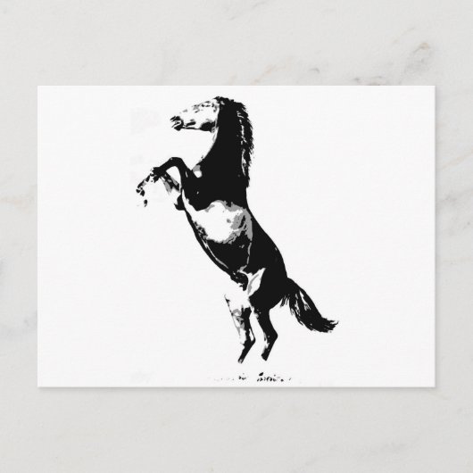 Paardenfok Briefkaart (Voorkant)