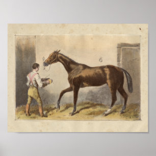  paardenfoto 1873 Thormanby Poster
